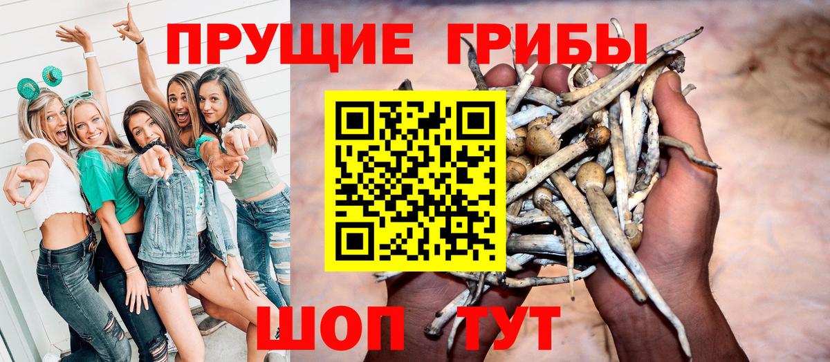 Галлюциногенные грибы мицелий Пыть-Ях