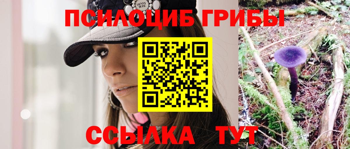 Пыть-Ях  Галлюциногенные грибы Cubensis  где продают   Галлюциногенные грибы ЛСД  Вход с VPN 