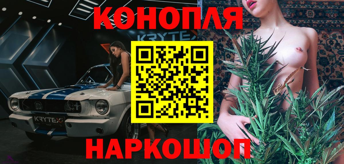 Конопля гибрид Пыть-Ях